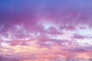 《明朝那些猫》登陆Steam 历史背景猫咪互动